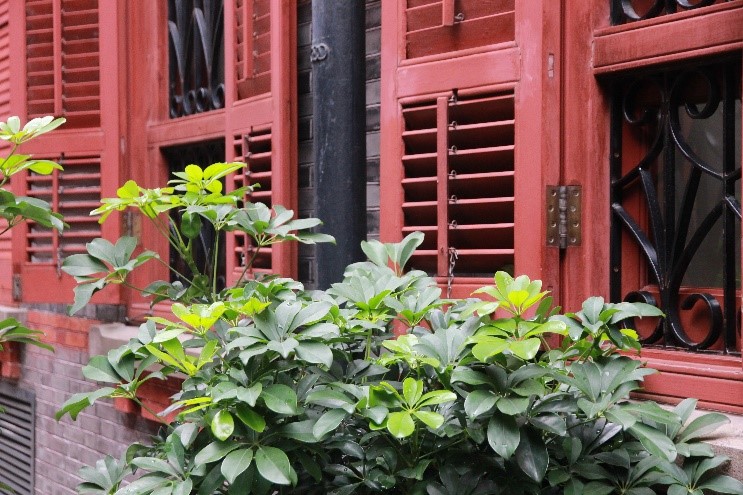 1569399680137168.jpeg 11962471_2.jpeg