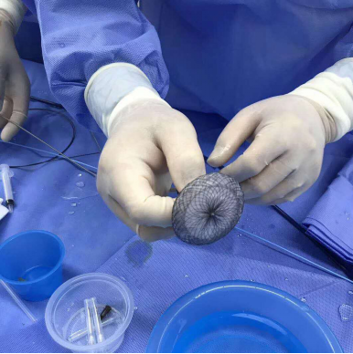 1572852444107557.png 11077472_2.png