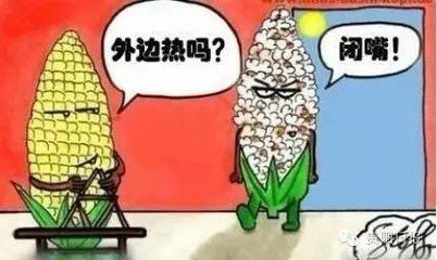 1573027429133174.png 10133067_图片1.png