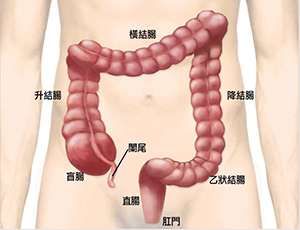 1573028008389222.jpeg 9982196_QQ图片20170706083542.jpeg