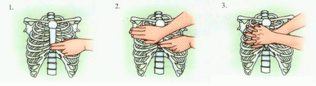 1573028285101606.gif 9979601_j5.gif