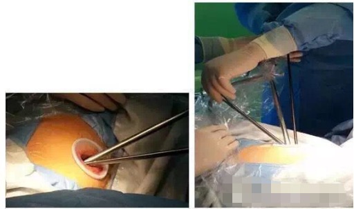 1573093943918384.jpeg 8438060_1.jpeg