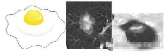 1573095236862399.jpg jZZzNK2s_8wME.jpg