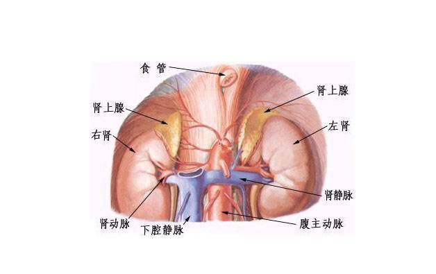 1573103836214384.jpeg 9662002_timg.jpeg